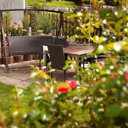 Alpenstern Montafon *