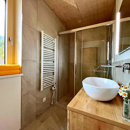 Alpenstern Montafon Apartmán Sankt Gallenkirch